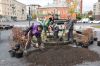 В Пензе осенью высадили более 3500 деревьев и кустарников