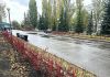 В Пензе на озеленение города потратят 15 млн рублей