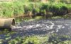 Росприроднадзор потребовал не допускать сброса сточных вод в Суру