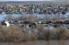 Половодье в Пензенской области может затронуть 77 населенных пунктов