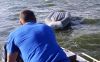На Сурском водохранилище перевернулась лодка с рыбаком