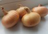 Пензенцам объяснили, почему больше не выращивают бессоновский лук