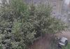 Аномалия: в Пензе 9 мая выпал снег