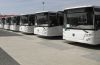 Стало известно, когда в Зарю пустят большие автобусы 