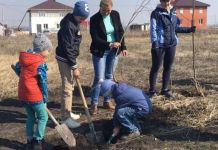 В Пензе в этом году высадили более 2200 деревьев 