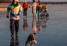 Пензенцы вместе с детьми гуляют по тонкому льду 