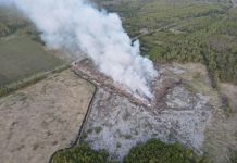 В Пензенской области с 28 мая ввели особый противопожарный режим