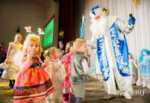 В библиотеке им. Белинского пройдут камерные елки для детей
