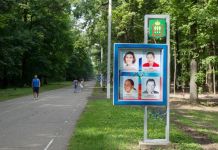 Олимпийскую аллею закроют на три дня для обработки от клещей