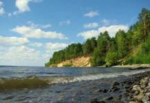 На Сурском водохранилище рыбак упал с крутого берега на камни