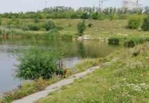 В Арбеково планируют создать парк как московский Зарядье
