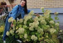 В Заречном завершился городской конкурс «Мой дом, мой двор»