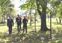 ﻿В Пензе площадку для выгула собак откроют в ближайшее время