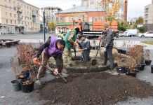 В Пензе осенью высадили более 3500 деревьев и кустарников
