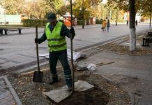 На благоустройство и озеленение Пензы планируют потратить 101 млн рублей