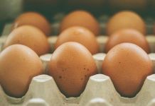 Пензастат сообщил о снижении производства яиц в регионе