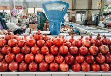 ﻿Ученые нашли способные подавлять коронавирус растительные продукты
