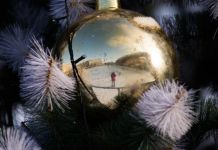 ﻿Все российские регионы объявили 31 декабря выходным