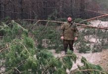 Пензенские леса очищают от поваленных деревьев