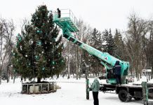 В Пензе на Соборной площади установили лесную ель