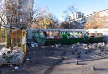 В Пензе до 1 мая проверят состояние контейнерных площадок