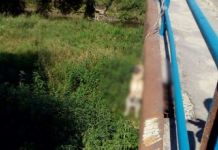 В Кузнецке нашли повешенную собаку