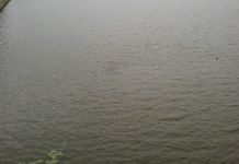 В Пензе дети прыгают в холод с моста 