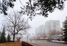 У зареченца из квартиры сосед украл кошелёк 
