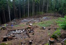 Студенты ПГУ обнаружили место сражения в Золотаревском городище