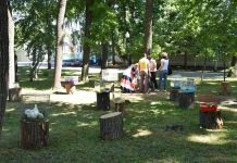В Пензе пройдет экологический фестиваль "ЭкоПарк - 2021"