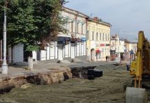 Липы на улице Московской могут погибнуть
