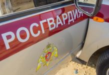 Пензенец сломал нос таксисту
