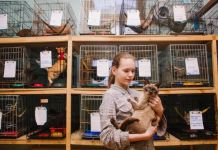 Пензенцы пожертвовали бездомным животным почти 2 тонны крышек 