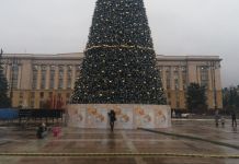 В Пензе планируют заменить конструкцию главной елки города