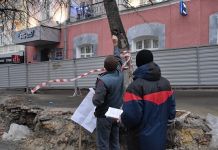 На улице Московской уберут аварийные и сухие деревья
