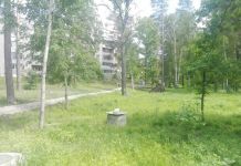 В Заречном сильный ветер вырывает с корнями деревья 