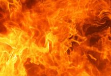 34 пожарных тушили пожар в "Дубраве"