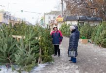 В Пензе открываются елочные базары