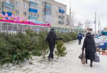 В Пензе откроются 70 елочных базаров
