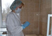 В Пензенской области от укусов клещей пострадали 23 человека 