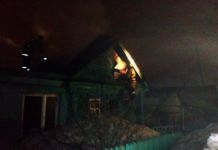 Под Пензой в страшном пожаре погибли два человека