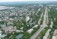 Названы регионы с самым большим числом абортов