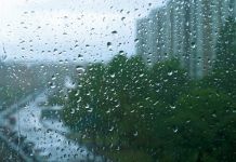 Во второй половине июня пензенцев ждет дождливая погода