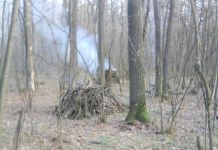 На Западной поляне опять вырубают лес
