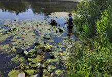 В Пензе спасатели достали со дна водоемов двух утонувших мужчин