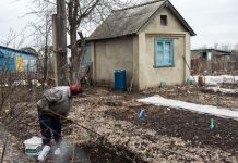 У зареченских садоводов хотят отобрать нажитое