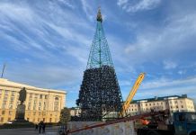 Главную ёлку Пензы начали украшать иголками 