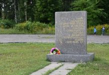Глава города призвал пензенцев реанимировать парк 40-летия Победы 