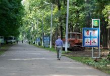 Жертвами клещей стали более 1100 пензенцев