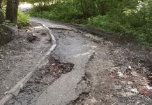 Пензенцам сообщили, когда отремонтируют Тропу здоровья
